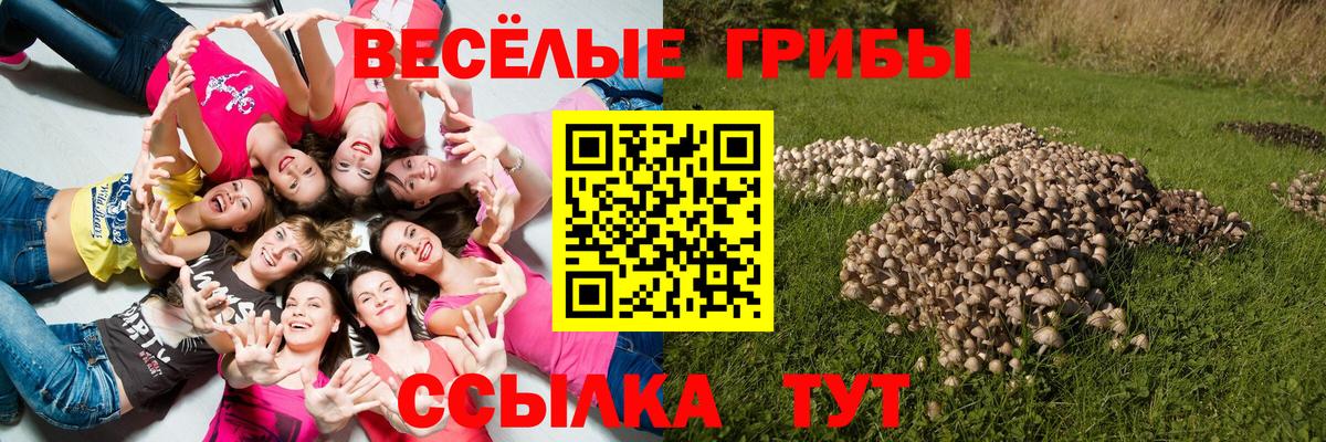 Псилоцибиновые грибы мицелий Якутск