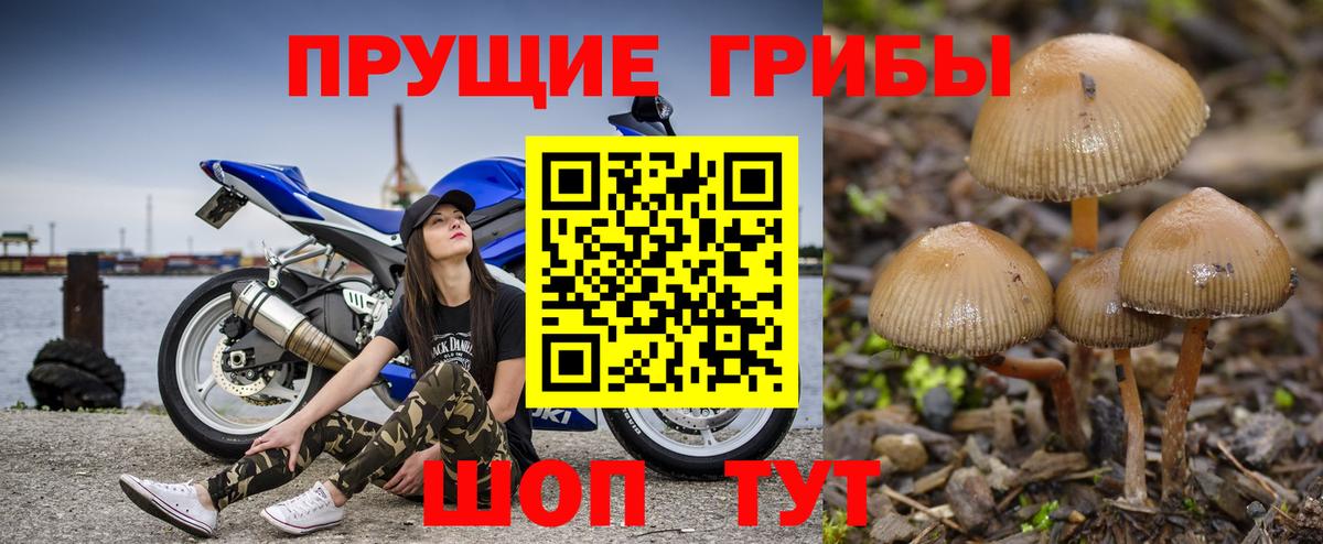 Псилоцибиновые грибы Psilocybe  цены наркотик  Якутск  Вход с VPN 